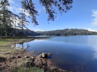lake in the forest - Situ Patenggang Bandung, Indonesia