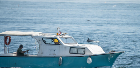 boat in the sea and dolphin
