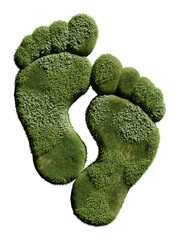 Lifelike footprints filled with vibrant green grass illustrate the connection between humanity and nature. This artistic representation invites reflection on our environmental impact. 3d render