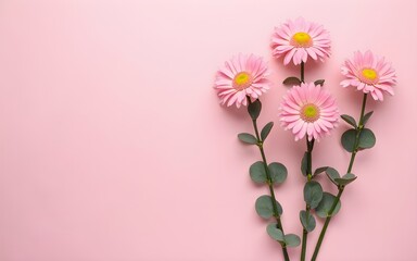 Fototapeta premium Flowers composition. Pink flowers and eucalyptus branches on pink background. Valentines day, mothers day, womens day concept. Flat lay, top view. High quality