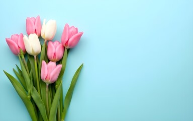 Fototapeta premium Pastel blue background with spring flower composition. Bouquet of pink, white tulips flat lay with copy space for Valentine Day, Easter, Birthday, Women and Mother Day cards. High quality