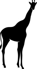 Giraffe silhouette black