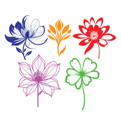 Colorful Flower Bouquet with Spring Leaves and Vintage Floral Design