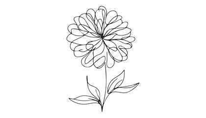 Continuous one single minimal line drawing Marigold