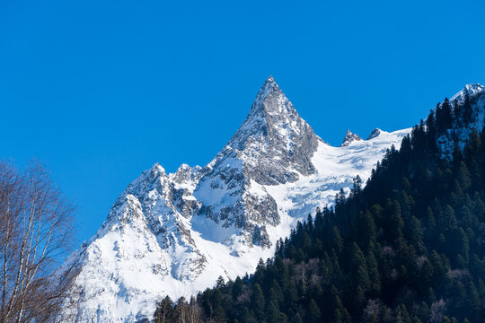 Karachay-Cherkessia. Dombay 2025. Majestic snow-capped mountain range towers above forested valley, showcasing nature's grandeur and serenity under clear blue sky. Nature concept for design.
