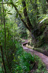 Levada do Rei hiking trail in Madeira © Niklas