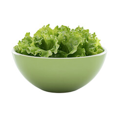 Fresh green lettuce in a light green bowl healthy eating concept