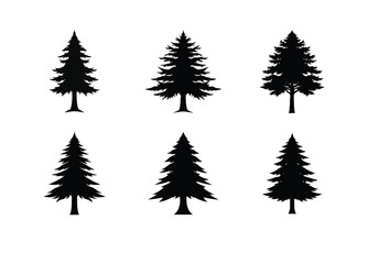 Fototapeta premium Cedar Tree Silhouette Vector Bundle | SVG Clip art for Nature & Outdoor Designs
