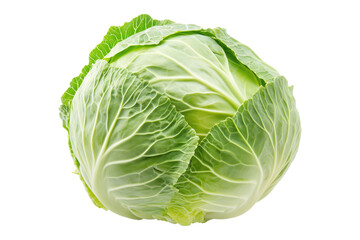 Obraz premium Whole green savoy cabbage with textured crinkled leaves isolated on transparent background. Concept of fresh organic vegetables and healthy eating