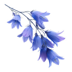 Fototapeta premium Delicate Branch of Bluebells Close-Up Botanical Photography