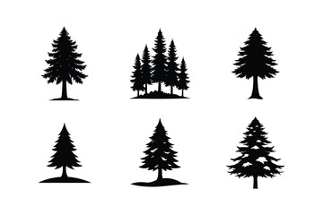 Cedar Tree Silhouette Vector Bundle | SVG  Clip art for Nature & Outdoor Designs