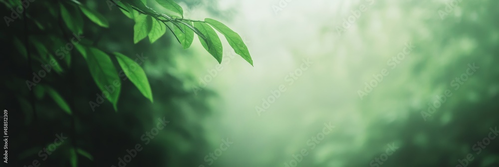 Poster sunlight filters through a misty forest canopy, illuminating fresh green leaves in a serene natural 