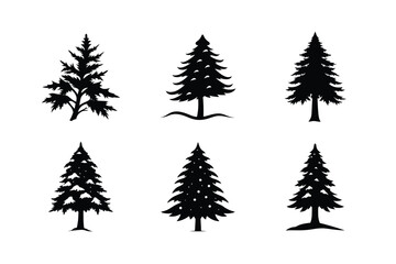 Cedar Tree Silhouette Vector Bundle | SVG  Clip art for Nature & Outdoor Designs