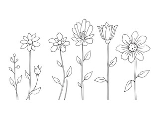 Minimalist Artificial Flowers Illustrations