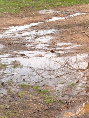 Water flowing across the dirt