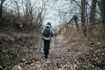 Person hiking along a natural trail surrounded by bare trees and a rocky stream, depicting...