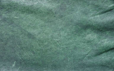 Real leather texture showcasing a unique green hue with a smooth finish.