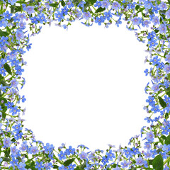 Sprig of blue forget-me-not (brunnera) flowers in a corner floral frame isolated on white or transparent background