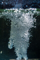 water and bubbles in nature in sunny summer light texture and abstraction