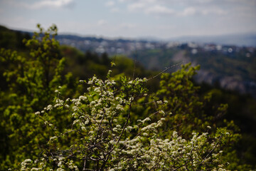 Mountain Village on a Hillside Under Dramatic Sky