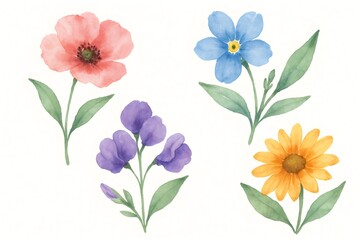Obraz premium Watercolor painting featuring colorful poppy, forget me not, sweet pea, and daisy flowers with green leaves