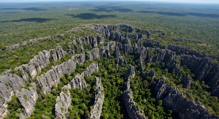 Aerial View of Tsingy de Bemaraha National Park, Madagascar: A Unique Karst Landscape