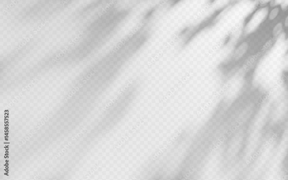 Wall mural abstract shadow overlay from tree branch on a transparent background.