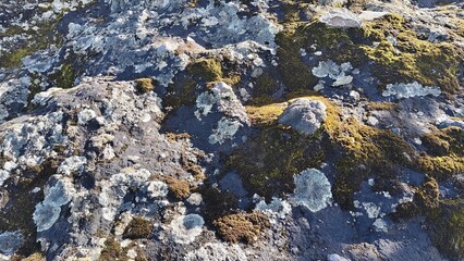Crater of Mount Ciremai Under Clear Blue Sky