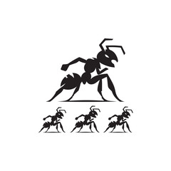 Fototapeta premium ant vector silhouette clip art logo illustration