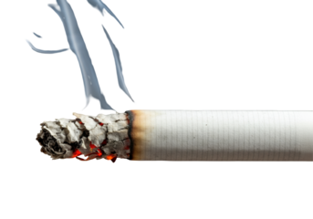 Burning Smoking Product with Smoke Rising on Transparent Background