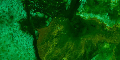 Dive into the Lively Psychedelic Patterns and Get Lost in an Abstract Masterpiece of Colors and Shapes