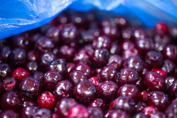 Close-up of shock-frozen pitted cherries with a thin ice coating. Are prepared for retail packaging to ensure extended shelf life in supermarkets and maintain perishable harvest quality.