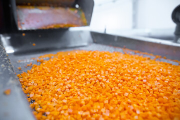 Bright diced carrot pieces fall from the shredder’s collector onto a moving mesh conveyor belt before entering the shock-freezing chamber.