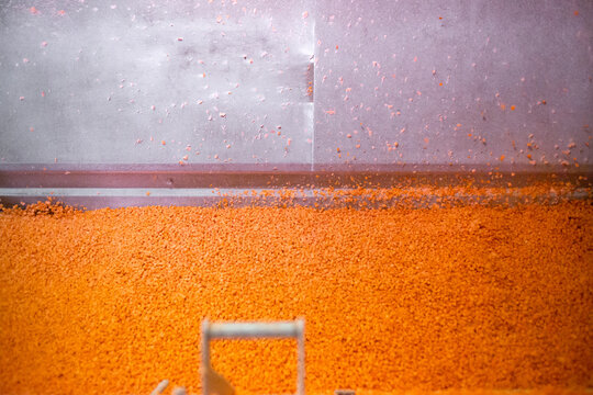 Bright diced carrot pieces move through shock-freezing chamber, while the conveyor belt continuously shakes the dices to prevent them from sticking. Рrepared for retail to ensure extended shelf life.
