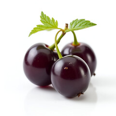cherries on white background