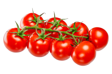 Bunch of fresh, red tomatoes with green stems isolated on white background.