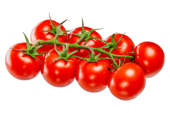 Bunch of fresh, red tomatoes with green stems isolated on white background.