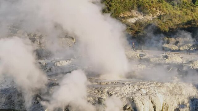 Te Puia geyser erupts in Rotorua, New Zealand. Tourists observe the geothermal activity, a popular attraction showcasing the country's natural wonders.