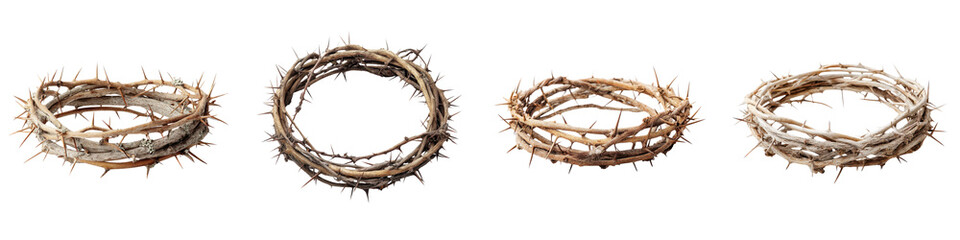 Fototapeta premium Crown of Thorns - A Symbol of Sacrifice and Devotion