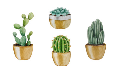 Set of cacti in pots. Watercolor illustration. For your design