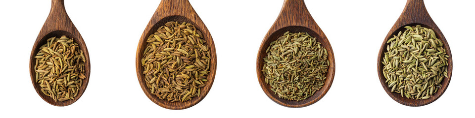 Assortment of spices, seeds, and herbs in wooden spoons.