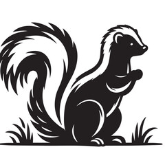 skunk silhouette, skunk line art silhouette, skunk svg, vector illustration, skunk vector silhouette icon - , ideal for wildlife, safari, and animal-themed illustrations, Skunk in the Autumn.