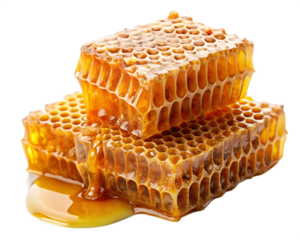 Honeycomb with honey isolated on white background PNG