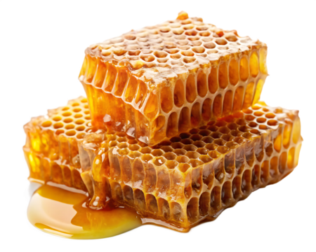 Honeycomb with honey isolated on white background PNG