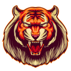 Tiger Head Illustration