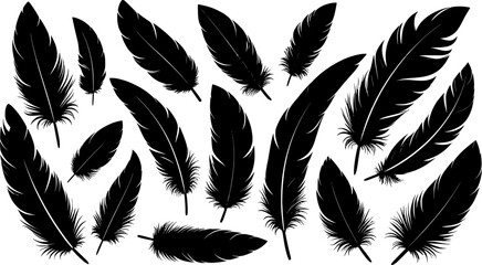 Obraz premium Crow feathers silhouette vector art illustration 