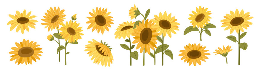 Sunflowers. Summer beautiful flowers, yellow petals, oilseeds, blossom different angles, agricultural meadow plants, cartoon flat isolated floral elements, botanical bouquet, garish vector set