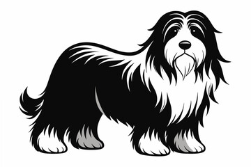 bearded collie  silhouette vector illustration
