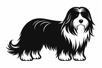 bearded collie  silhouette vector illustration
