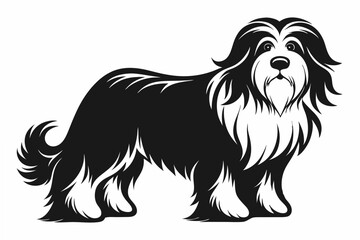 bearded collie  silhouette vector illustration
